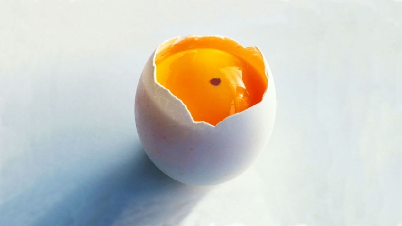 Yumurtada kırmızı leke varsa yenebilir mi? Yumurtadaki kan lekesine dikkat!