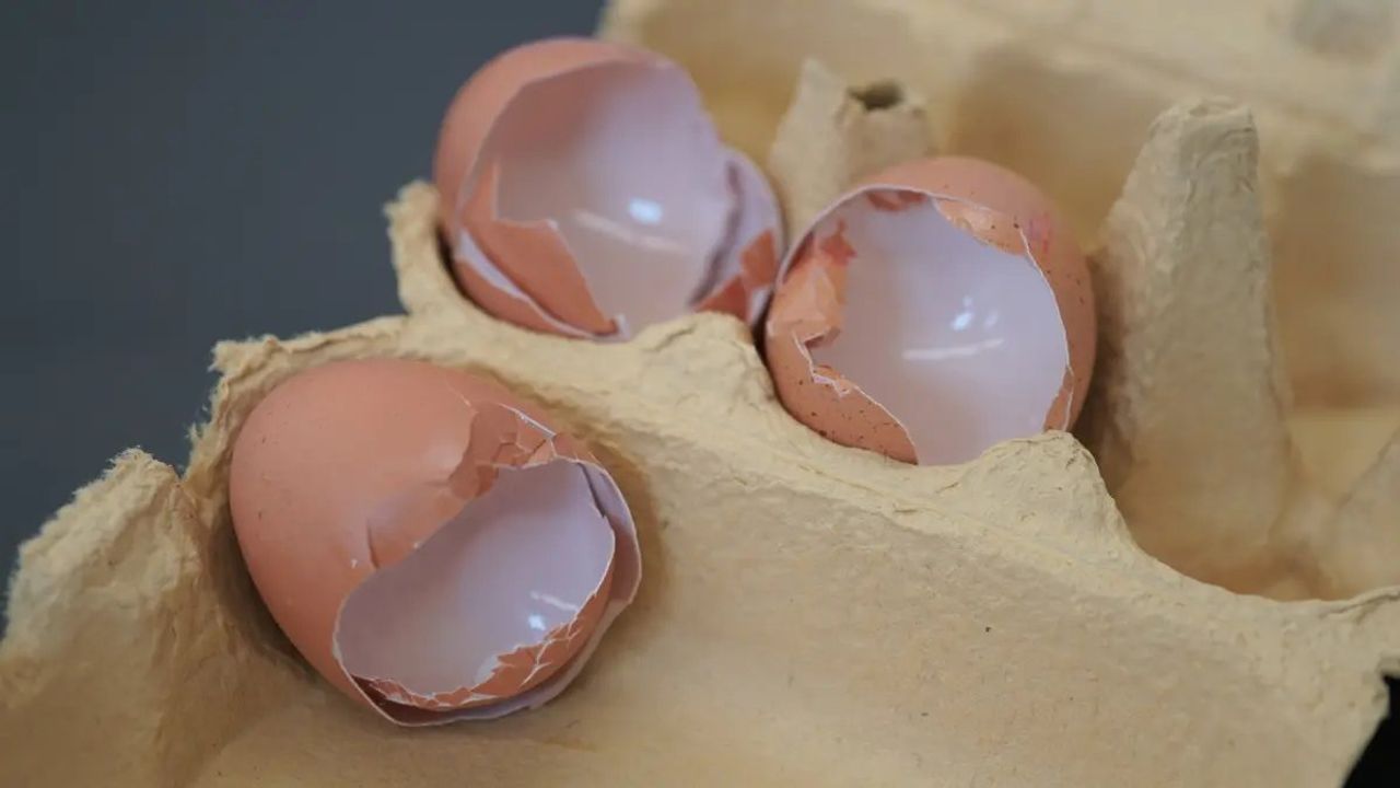Yumurta kabuklarını sakın çöpe atmayın! Resmen 1 kutu deterjana bedel!